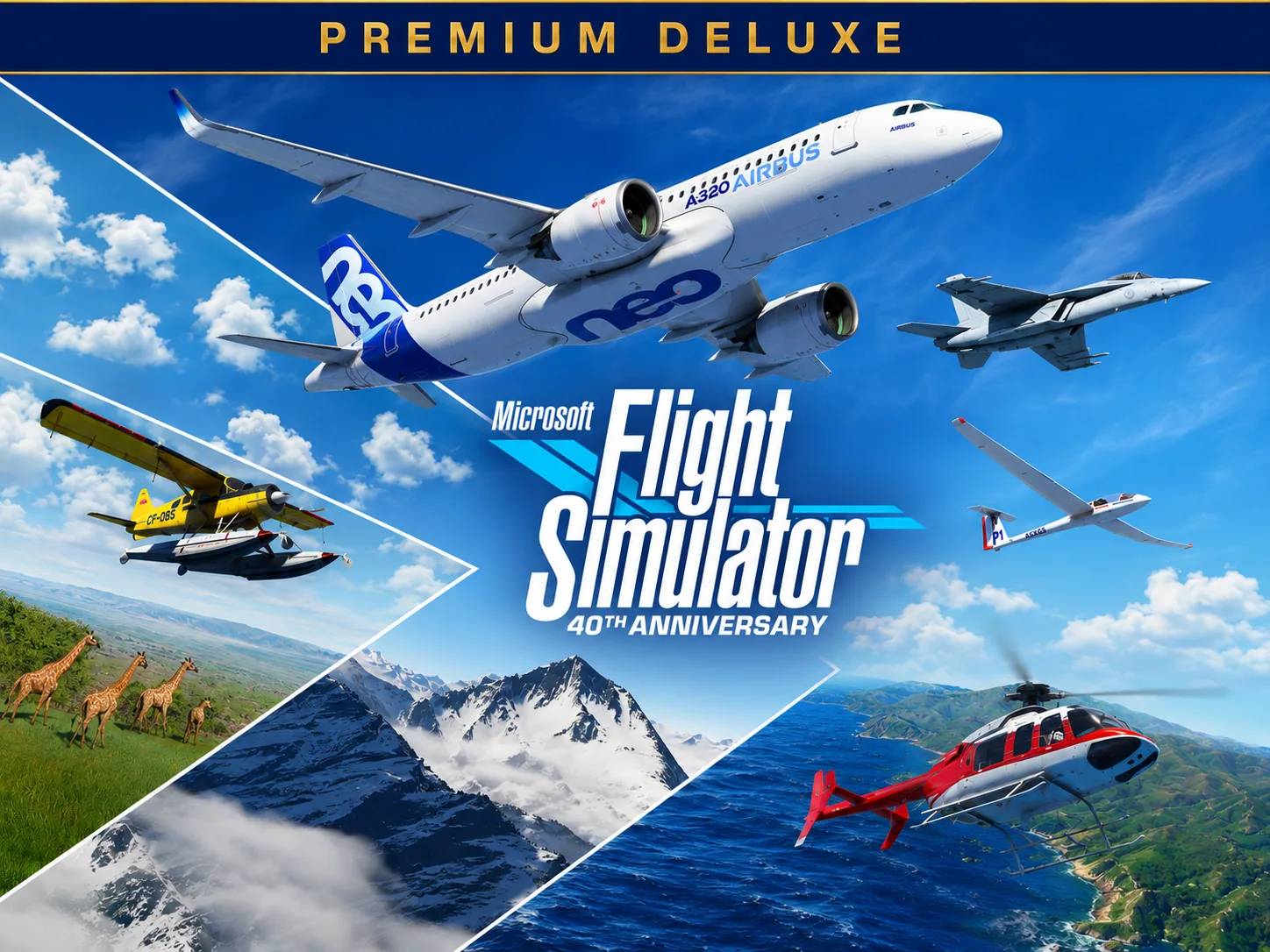 Microsoft Flight Simulator