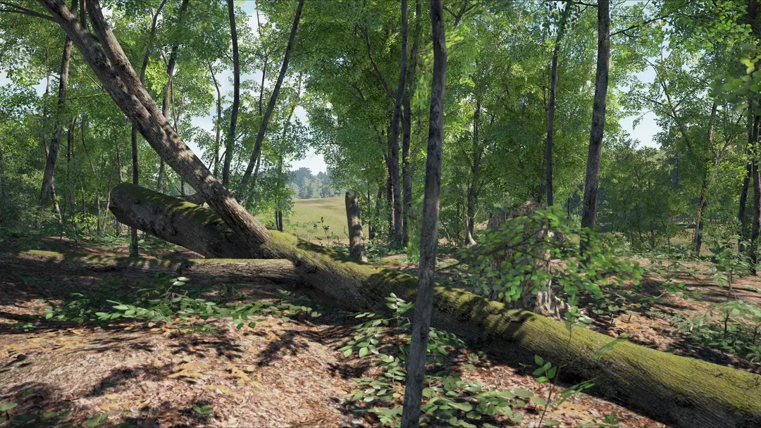 SCUM: Base Building Decor Pack